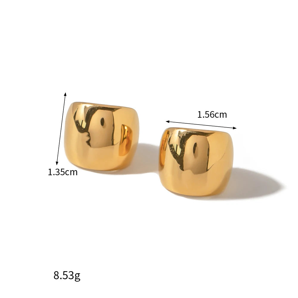 Bagues d'Oreilles doré et argenté