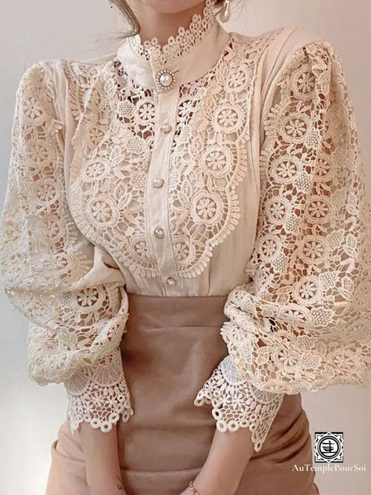Blouse Femme Haut De Gamme En Dentelle – Élégance Et Raffinement