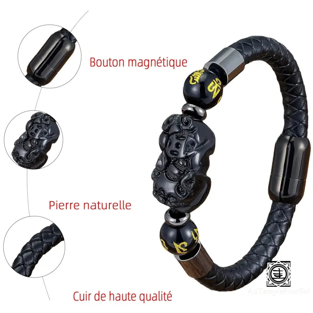 Bracelet de protection Pixiu Feng Shui pour hommes et femmes, bijoux porte-bonheur, fermoir en acier inoxydable, œil de tigre naturel