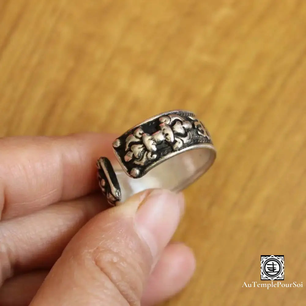 ’Écho Des Montagnes’ - Anneau Mantra En Argent Bague - Tibet