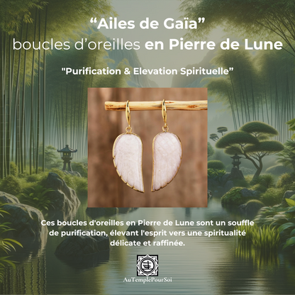 Pack Purification et Renouveau : Cristal de Roche, Calcédoine, Pierre de Lune